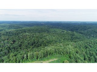Tract 62 - Timberland & Farmland in Noble County, OH - LAND AUCTION - 12,200+/- ACRES OFFERED IN 65 TRACTS IN NOBLE COUNTY, OHIO